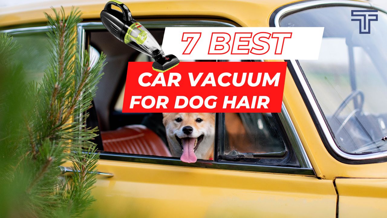 7 Best Car Vacuum for Dog Hair & Car Detailing TechReviewly