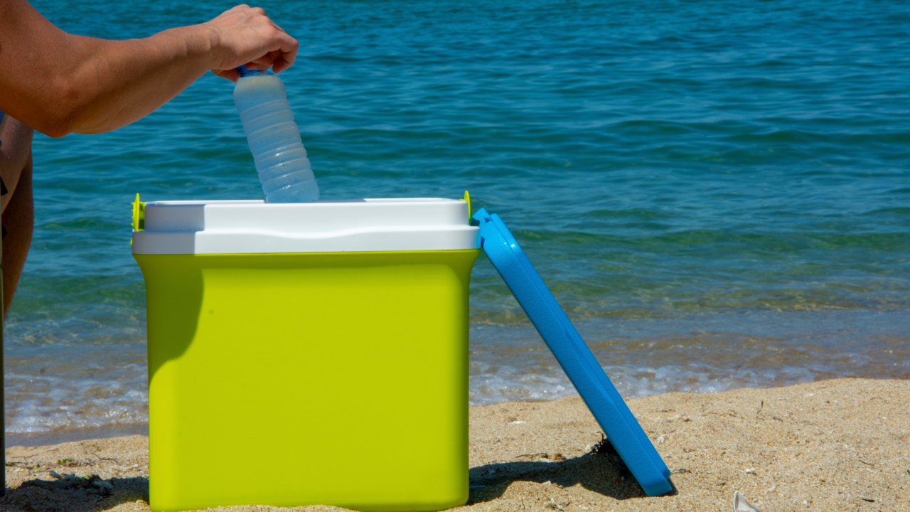 How Do Portable Refrigerators Work Quick Guide Techreviewly