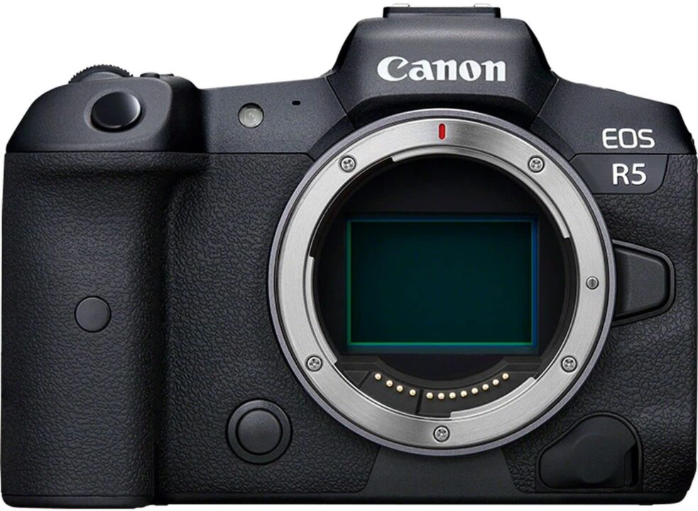 Best Camera for Wildlife Pictures