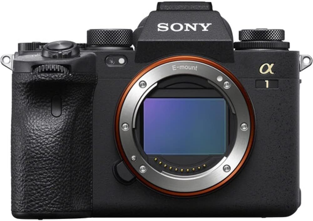 mirrorless camera wildlife
