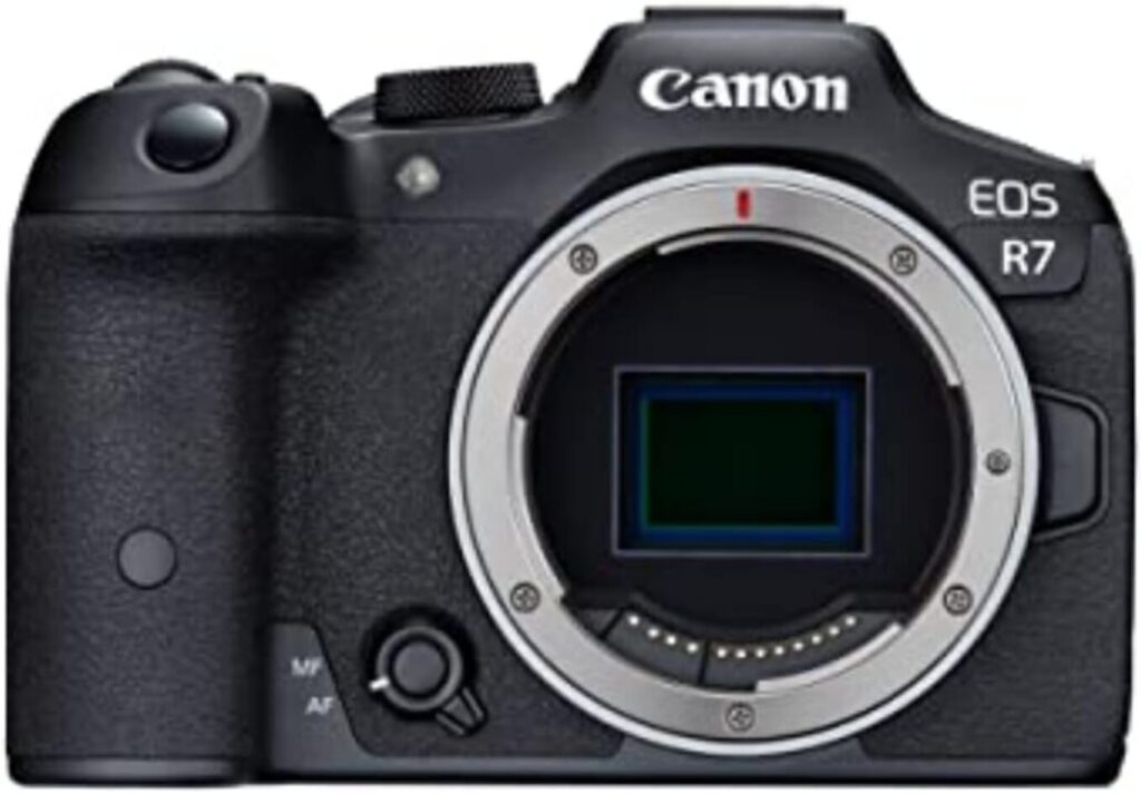 camera for bird photography