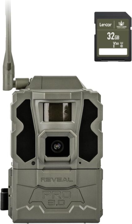 budget trail camera